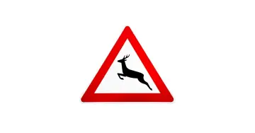 Warnschild: Achtung, Wildwechsel! Ein springendes Reh im roten Dreieck weist auf die Gefahr hin, dass Tiere die Straße überqueren könnten.